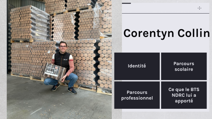 Corentyn By Marie Poulain On Prezi