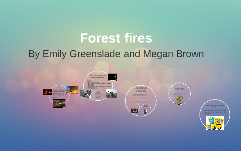 Forest fires by megan brown on Prezi