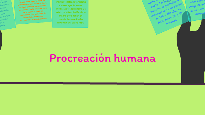 Etapas De La Procreación Humana By Daniela Toapanta On Prezi