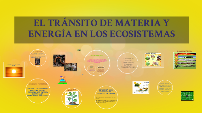 Diferencias Entre La Materia Y La Energia Material Colección