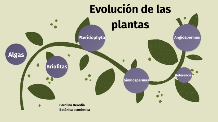 Evolución de las plantas by caro heredia on Prezi