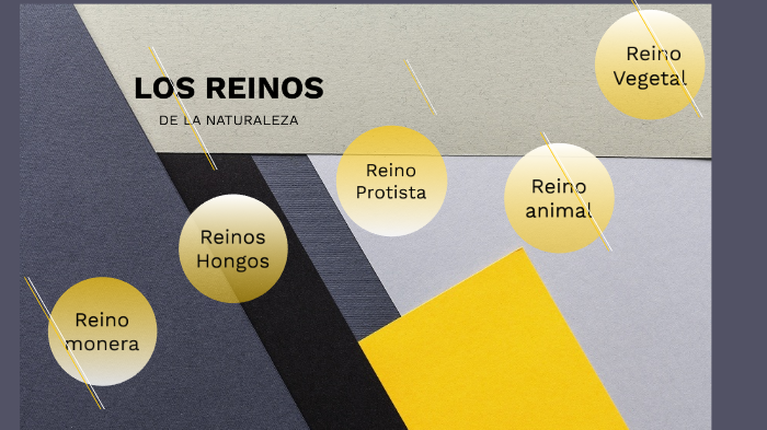 Los reinos de la naturaleza by Valeria Martínez on Prezi