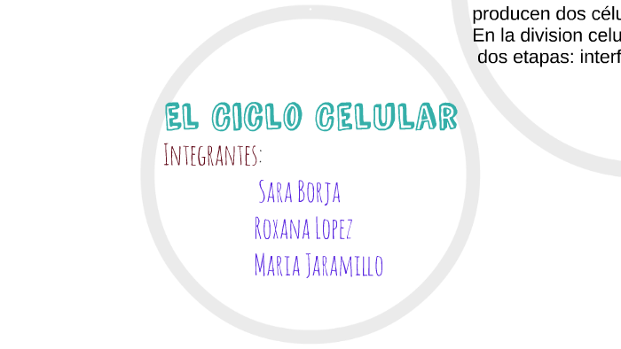 El Ciclo Celular by Sara Borja Martinez on Prezi