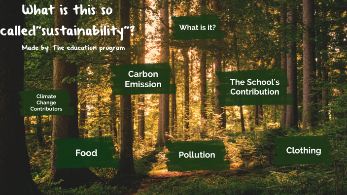 Education On Sustainability By Andrea S