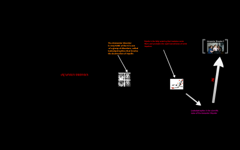 ALEXANDER Disorder by Alex Arguelles on Prezi