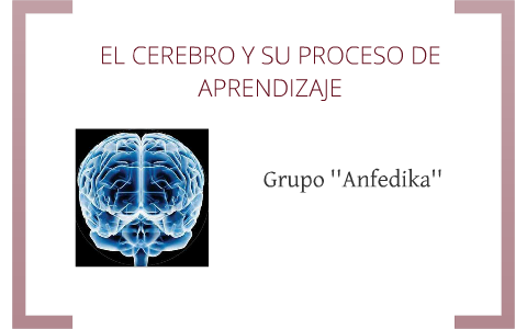 El cerebro y el proceso de aprendizaje by Andrea Ramírez Tovar on Prezi