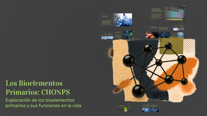 Chonps Bioelementos Los Bioelementos Primarios: CHONPS by Arelys Ortiz pacheco on Prezi