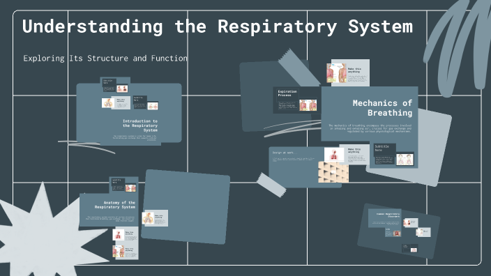 Understanding the Respiratory System by yuli rindarningsih on Prezi