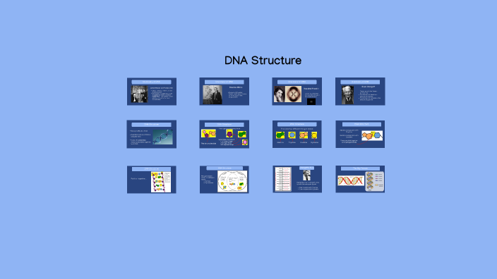 Dna Structure By Heather Sexton On Prezi