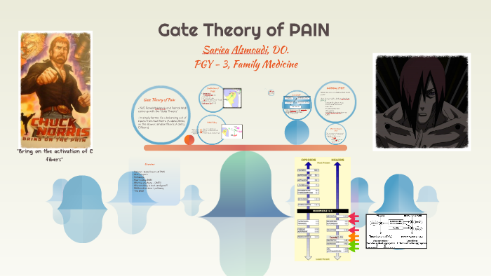 Gate Theory Of Pain By Sariea Al On Prezi