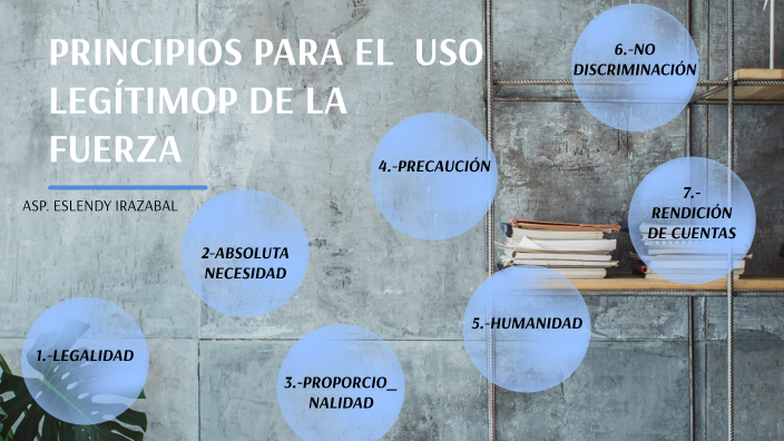 PRINCIPIOS DEL USO DE LA FUERZA by lendy wendy