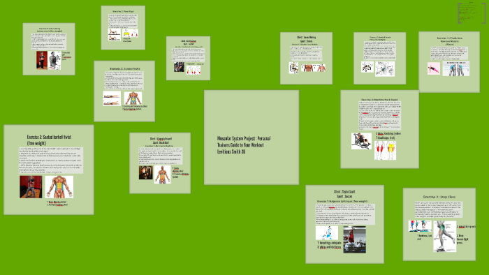 Muscular System Project : Personal Trainers Guide to Your Wo by ...