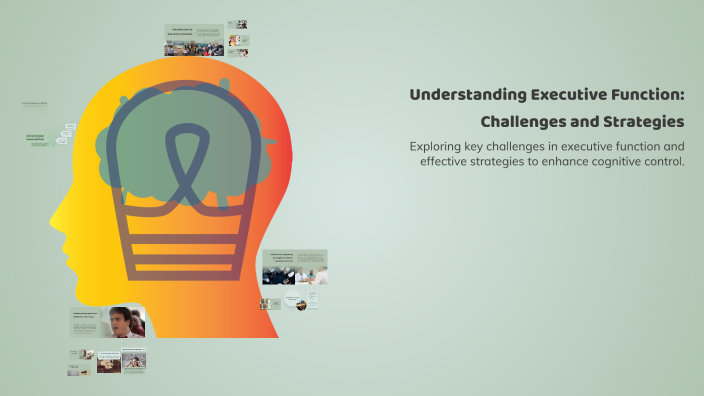 Understanding Executive Function: Challenges and Strategies by John ...