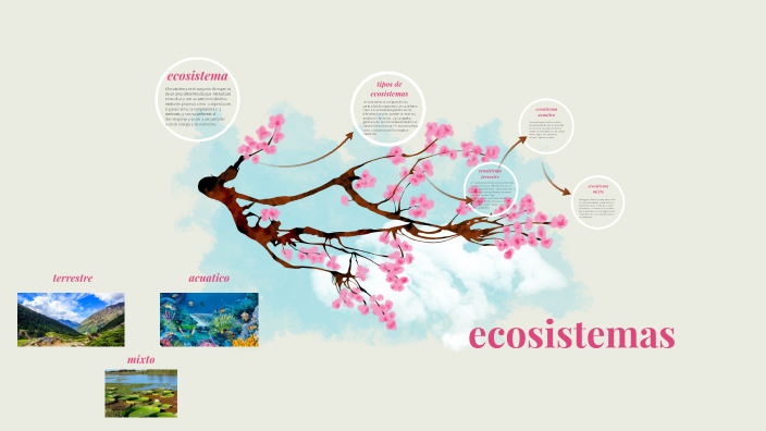 ecosistemas by lissy valeria benavides cespedes on Prezi