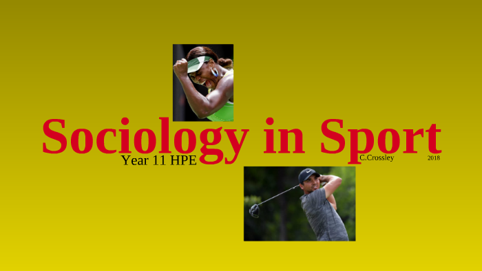 sociology-in-sport-by-craig-crossley