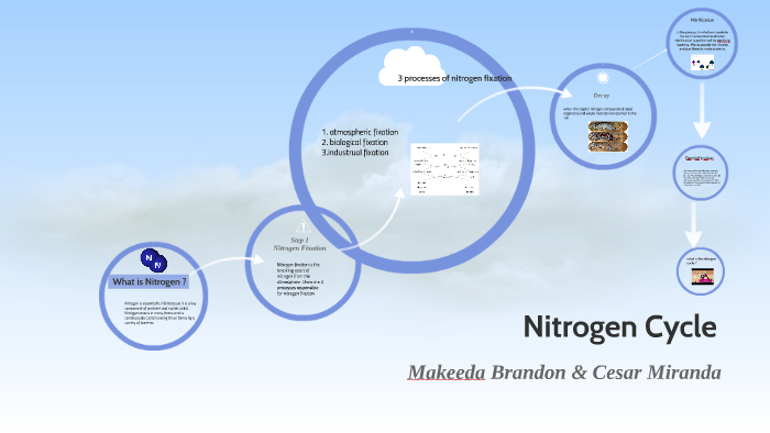 Nitrogen Cycle by makeeda brandon on Prezi