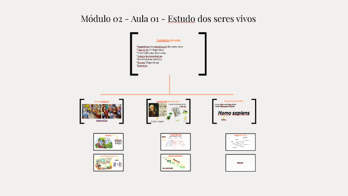 Módulo 02 - Aula 01 - Estudo dos seres vivos by Marcus Vinicius Noronha ...