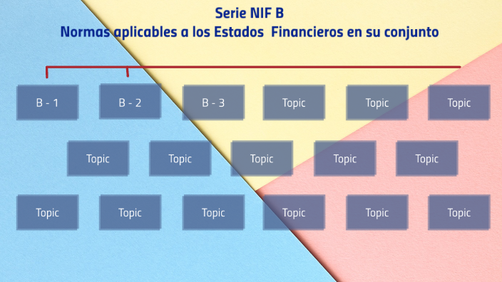 Serie NIF B Normas Aplicables A Los Estados ﬁFinancieros En Su Conjunto ...