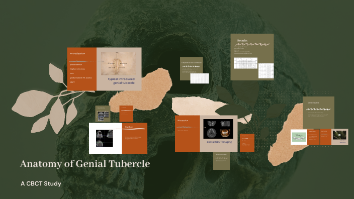 genialthesis by S. Ehsan Hosseini on Prezi