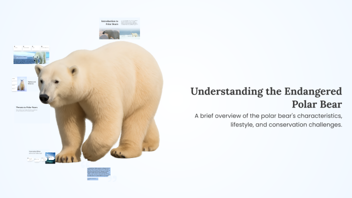 Understanding the Endangered Polar Bear by Kacper on Prezi