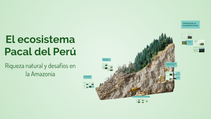 El ecosistema Pacal del Perú by catherine Vega Chávez on Prezi
