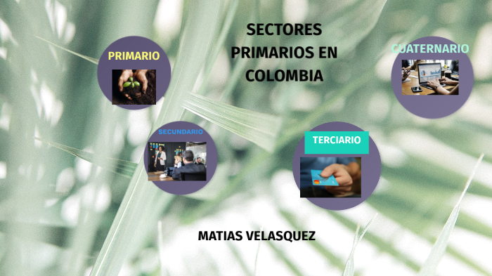 SECTORES ECONOMICOS EN COLOMBIA By Victoria Plaza