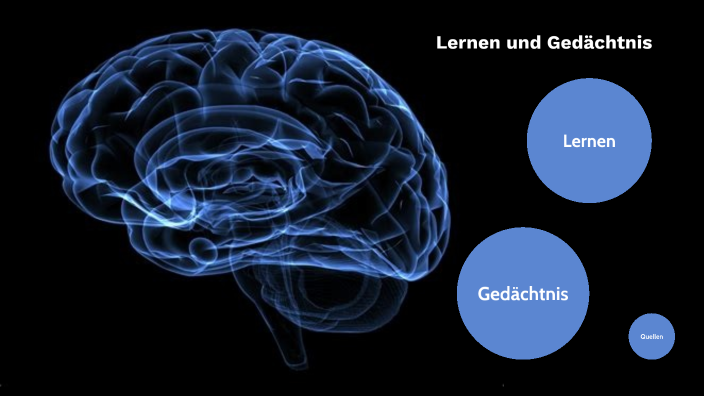 Lernen Und Gedächtnis By Kimberly Krick On Prezi