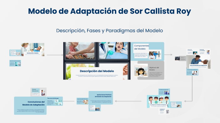 Esquema Del Modelo De Adaptacion De Callista Roy prezi.com