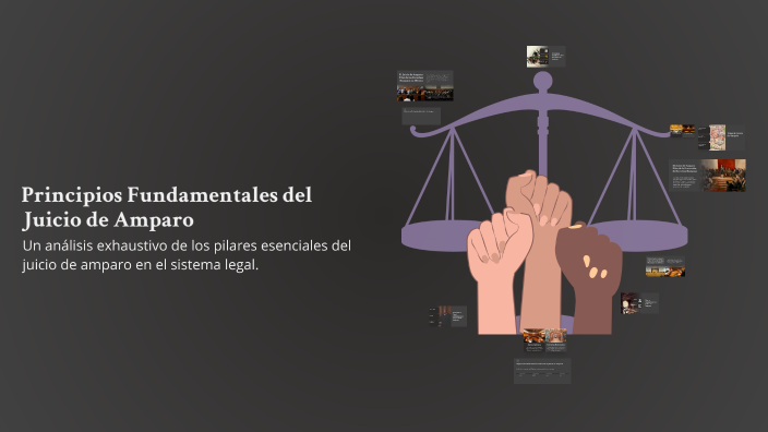Principios Fundamentales del Juicio de Amparo by Alondra Guadalupe ...