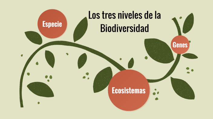 Cuáles Son Los Tres Niveles De La Biodiversidad