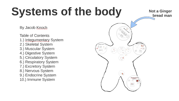 Systems Of The Body By Fredrick Schnitzelberg