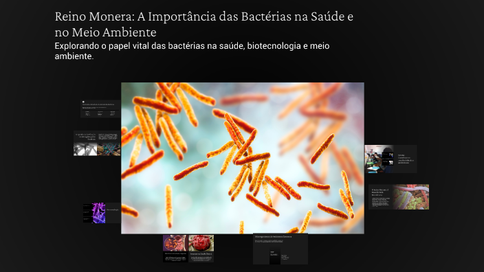 Reino Monera: A Importância das Bactérias na Saúde e no Meio Ambiente ...