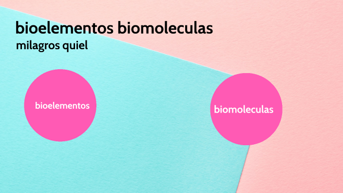 Bioelementos Biomoleculas By Milagros Quiel 2308