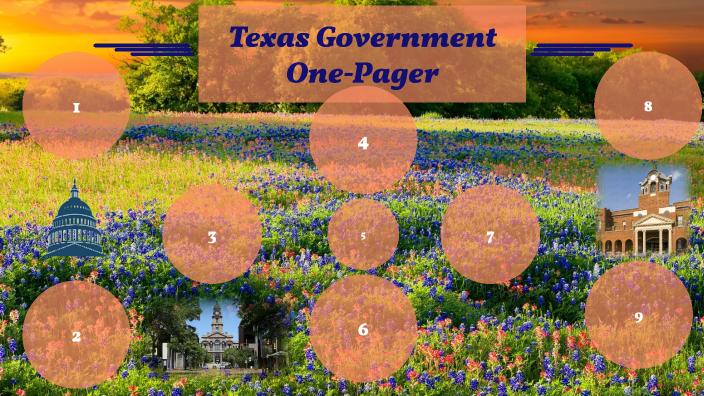 Texas Government One-Pager by EMILIA ROOD (Student)