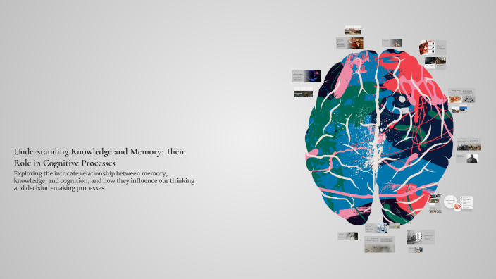 Understanding Knowledge and Memory: Their Role in Cognitive Processes ...