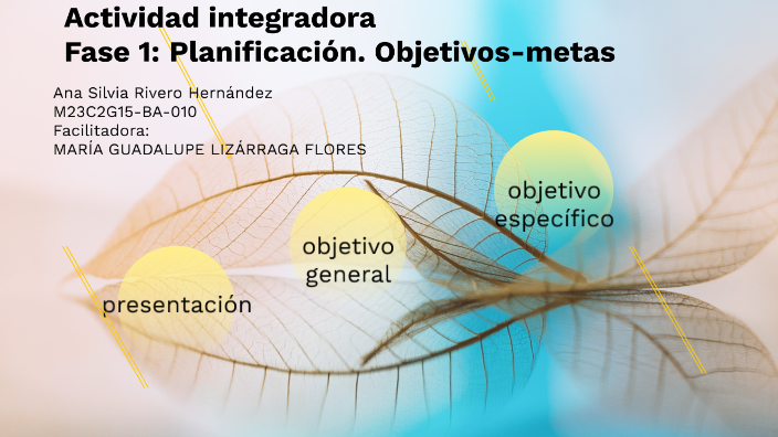 Actividad integradora Fase 1: Planificación. Objetivos-metas by Anii