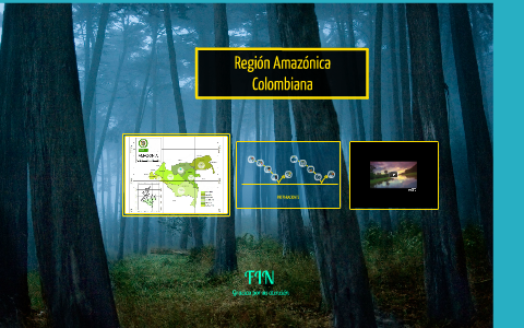 REGION AMAZONICA by Maria Ciro on Prezi