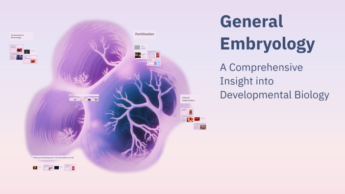 General Embryology by Sunset moment on Prezi