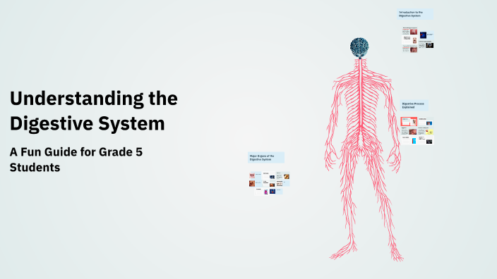 Understanding the Digestive System by Elizabeth Dayon on Prezi