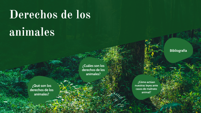 Derechos de los animales by Ainoha Ramos on Prezi