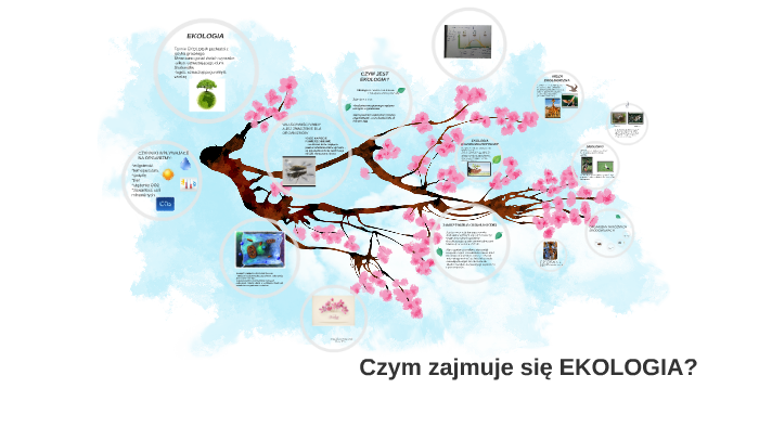 Czym zajmuje się EKOLOGIA? by Adam Majtczak on Prezi