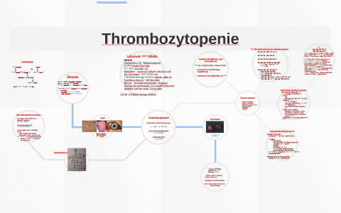 Thrombozytopenie By Annie Hoeller