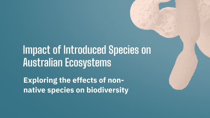Impact of Introduced Species on Australian Ecosystems by Olivia Wexler ...