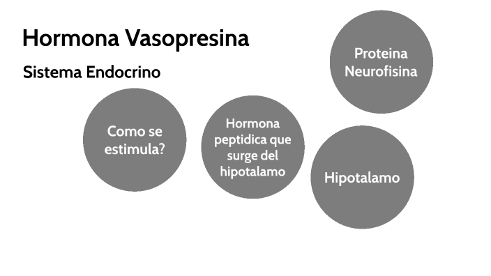 Hormona Vasopresina by