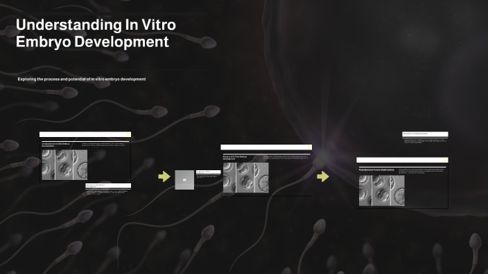 Understanding In Vitro Embryo Development by Mohammad Reza Ebrahimi on ...