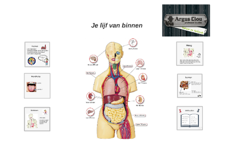 Je lijf van binnen by Jennifer van Rijn