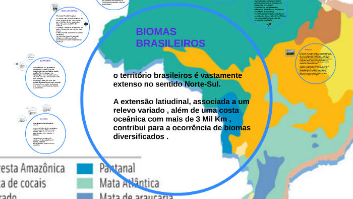 BIOMAS BRASILEIROS by jobson silva on Prezi