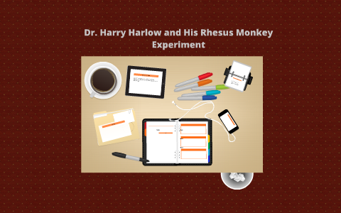 executive monkey experiment