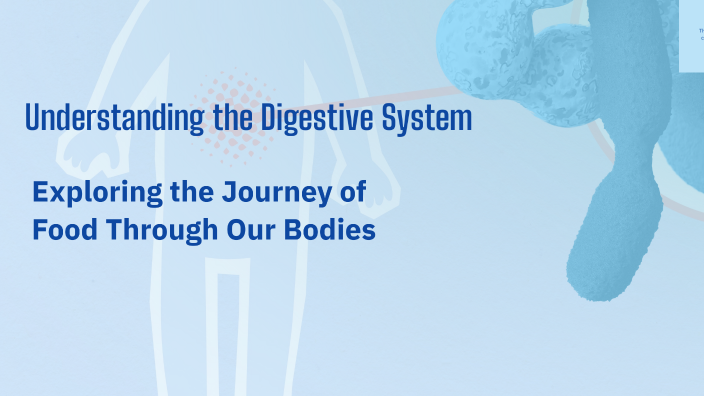 Understanding the Digestive System by Shenadi on Prezi