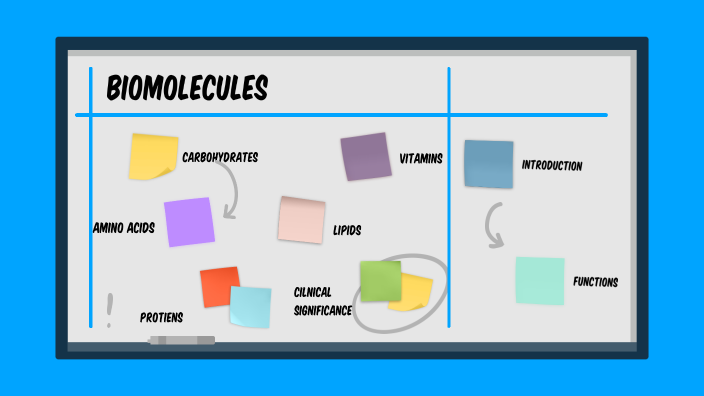 Biomolecules by Hafsa Ansari on Prezi